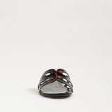 Bay Jelly | Tortoise