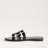Bay Jelly | Tortoise
