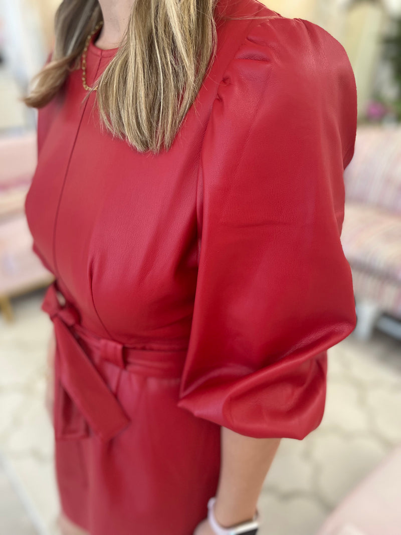 Brick Red Belted Dress