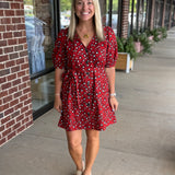 Stevie Dress