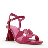 Peter Heel | Fuchsia