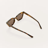 High Tide | Brown Tortoise